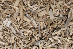 biomass boilers Laleston